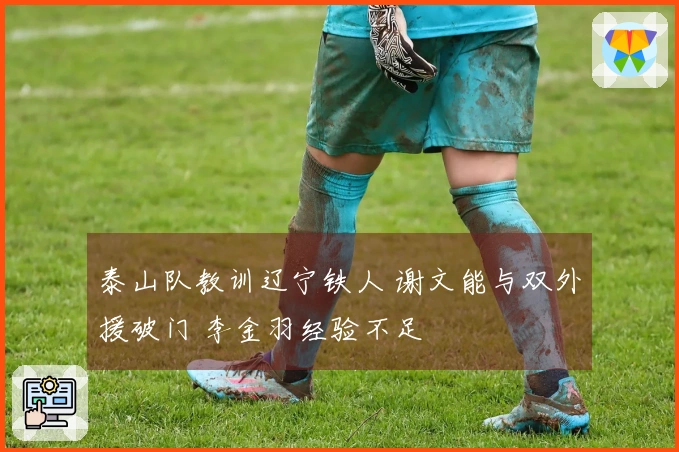 泰山队教训辽宁铁人 谢文能与双外援破门 李金羽经验不足