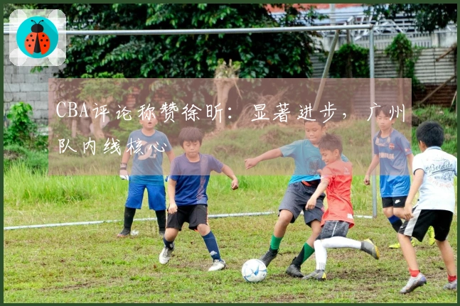 CBA评论称赞徐昕：显著进步，广州队内线核心