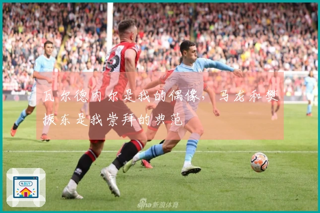 瓦尔德内尔是我的偶像，马龙和樊振东是我崇拜的典范