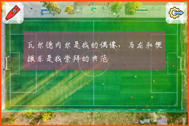 瓦尔德内尔是我的偶像，马龙和樊振东是我崇拜的典范