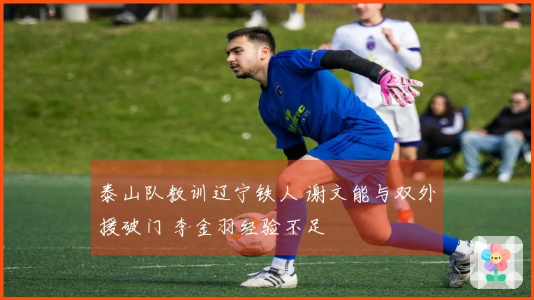 泰山队教训辽宁铁人 谢文能与双外援破门 李金羽经验不足